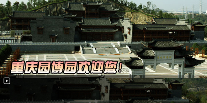织梦鸟特效代码
