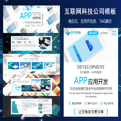 <b>互联网技术APP软件应用开发类响应式织梦模板</b>